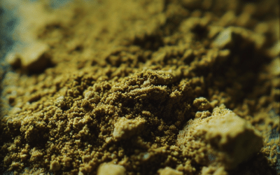 «THC en Polvo: Conociendo el Polen de Cannabis y sus Características»