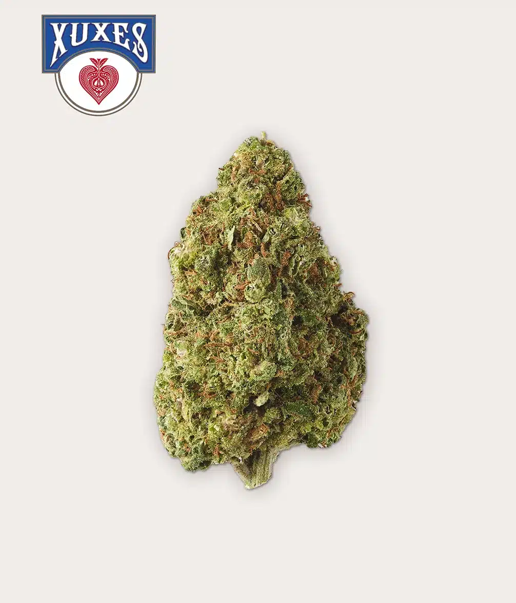 APPLE JACK CBD