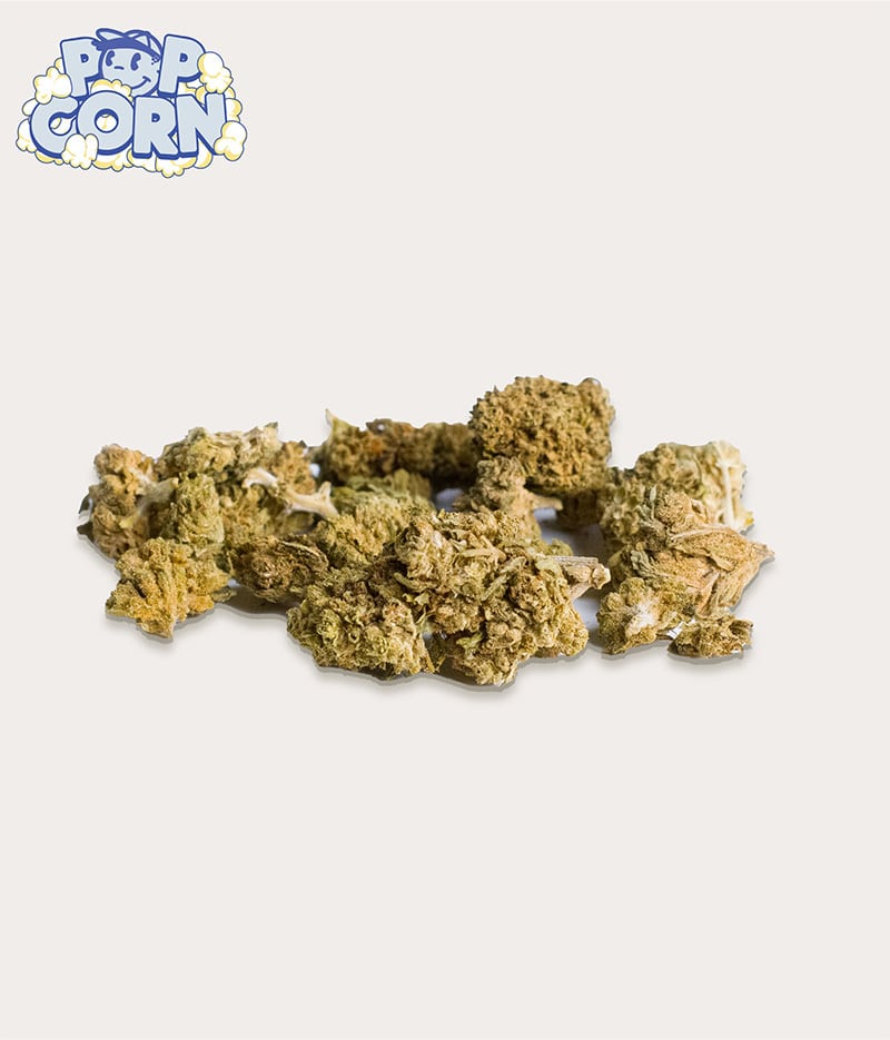 Popcorn Pack CBD