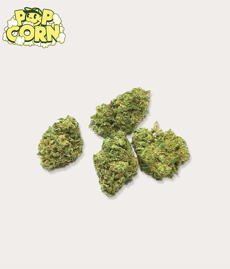 GREEN PACK CBD