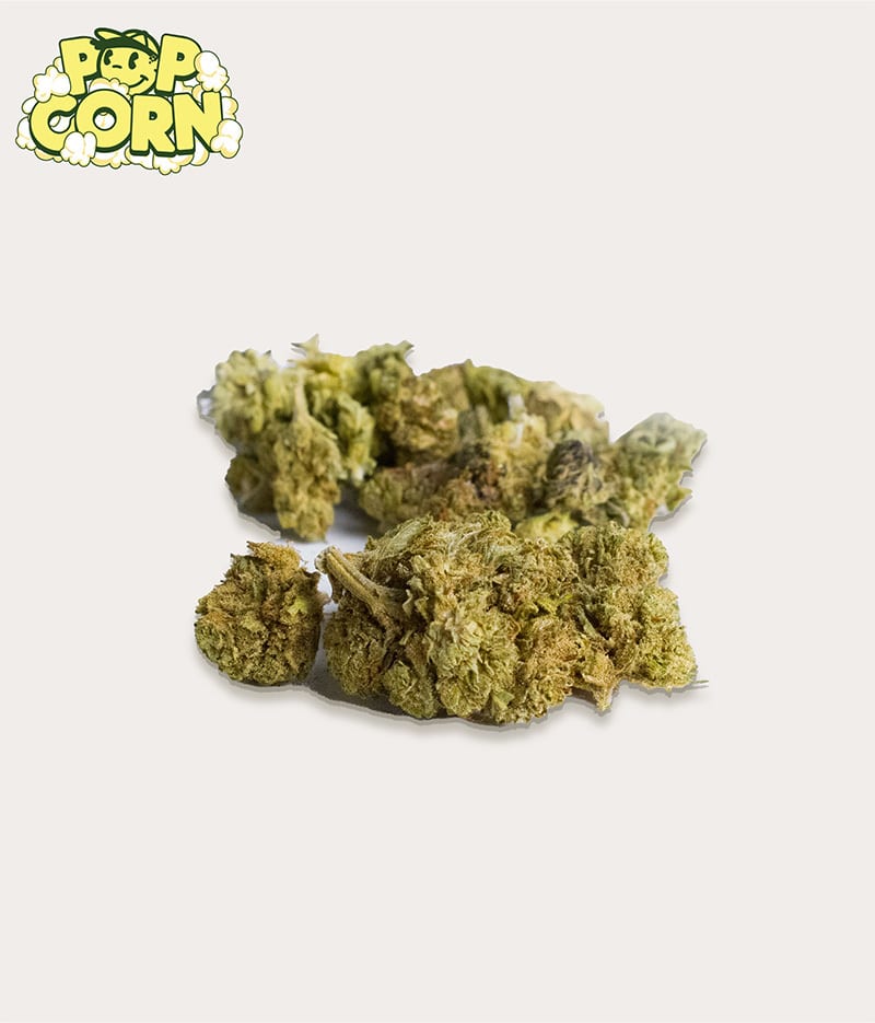 Popcorn Pack CBD