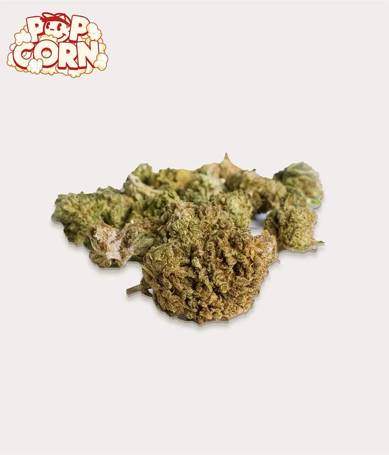 Popcorn Pack CBD